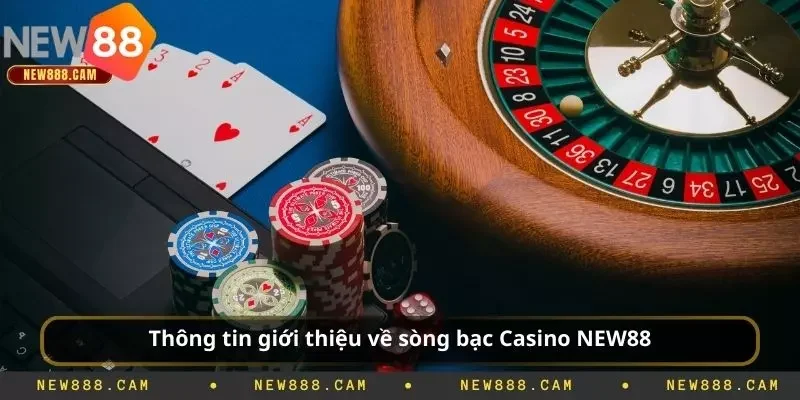 Thông tin giới thiệu về sòng bạc Casino NEW88